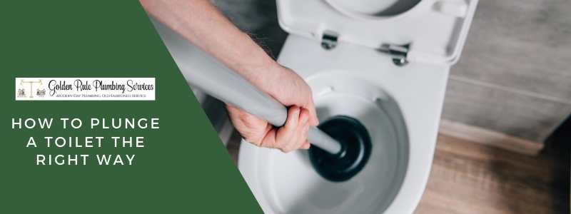 How to Plunge a Toilet the Right Way